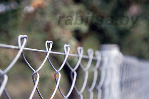 Картинка сетки рабица в Гродно