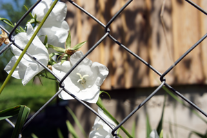 сетка рабица