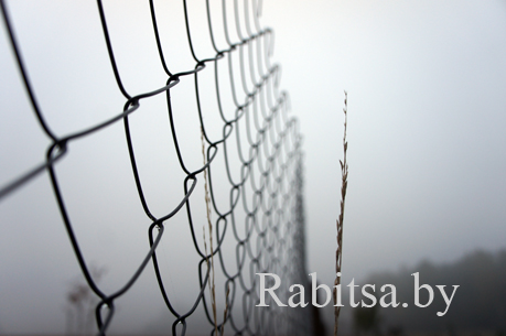 сетка рабица купить в минске