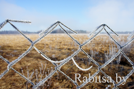 сетка рабица купить в минске