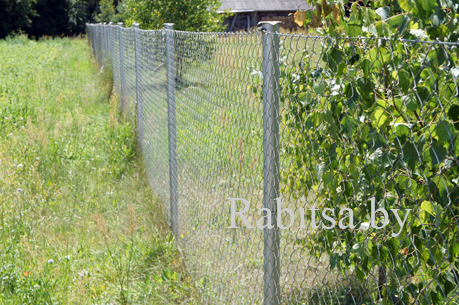 сетка рабица оцинкованная купить в минске 1,5м.