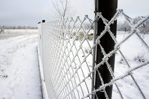 Сетка рабица оцинкованная в заборе 