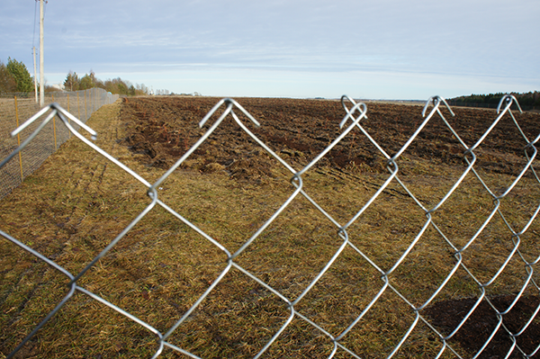 Сетка рабица, оцинкованная в Минске