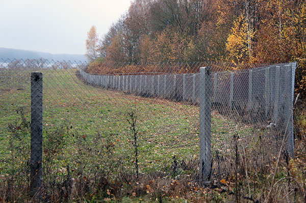забор из сетки рабица 