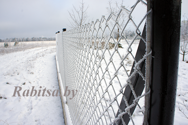Забор из сетки рабицы