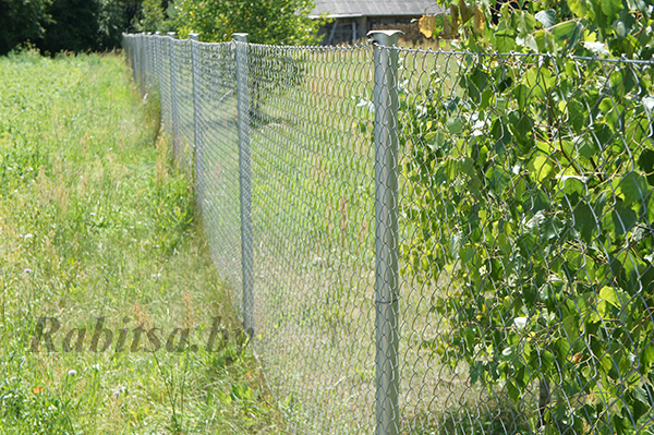 Забор из оцинкованной сетки рабицы