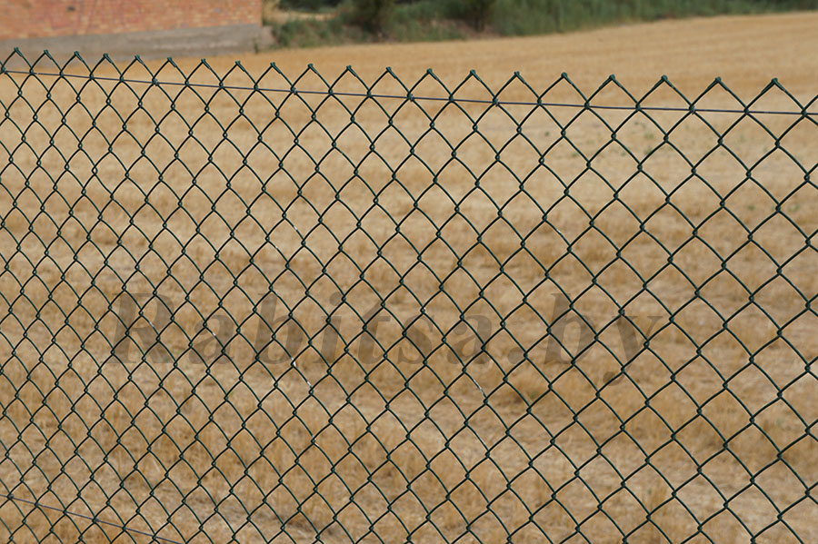 Забор из сетки рабица в полимерном покрытии зеленого цвета.